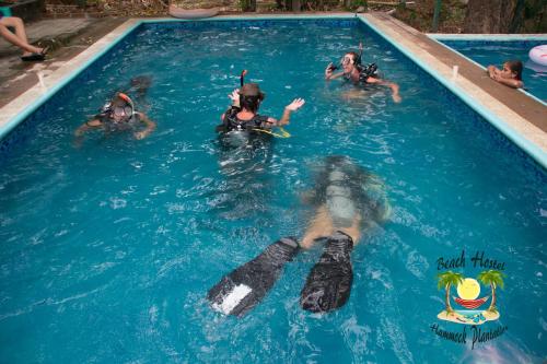 Deportes y ocio, Hammock plantation in El Zonte Deportes y ocio, Hammock plantation in El Zonte
