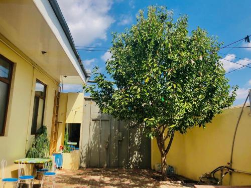 Huseyn Houses in Гянджа Huseyn Houses in Гянджа