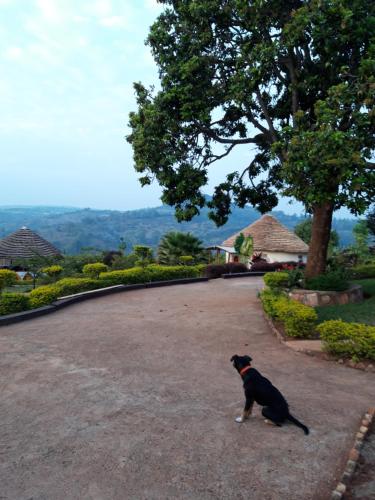 Výhled, NENA HOUSE in Butare Výhled, NENA HOUSE in Butare