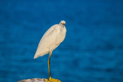 在meiguo.com看到的Sandy Pointe的介绍图片