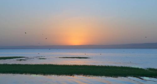 Beach, Haile Resort Hawassa in Awassa Beach, Haile Resort Hawassa in Awassa