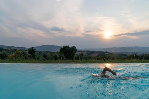 Swimming pool, La Maggiolina Country House in Montelabbate Swimming pool, La Maggiolina Country House in Montelabbate