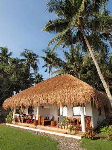 道因普拉维达海滩&潜水度假村 (Pura Vida Beach and Dive Resort Dauin) in 朗芒芽地 道因普拉维达海滩&潜水度假村 (Pura Vida Beach and Dive Resort Dauin) in 朗芒芽地