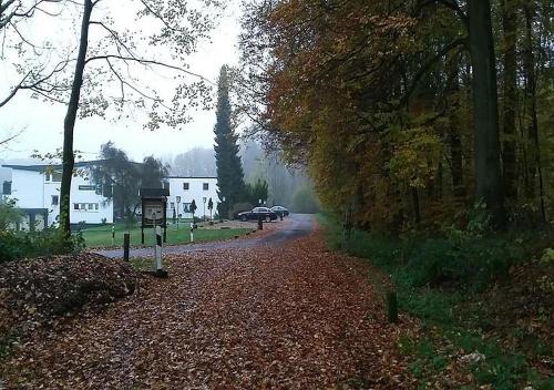 WALDHOTEL in Dierdorf WALDHOTEL in Dierdorf
