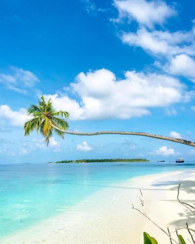 Beach, Finimas Residence in Thaa Atoll Beach, Finimas Residence in Thaa Atoll