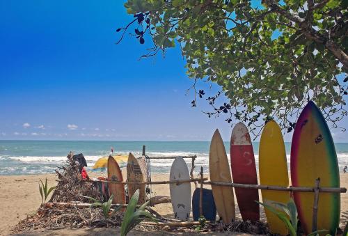 Спорт и физически дейности, Puri Saron Hotel Senggigi in Ломбок Спорт и физически дейности, Puri Saron Hotel Senggigi in Ломбок