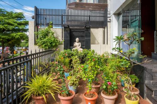 Garden, Hotel Five Elements in Ram Nagar Garden, Hotel Five Elements in Ram Nagar