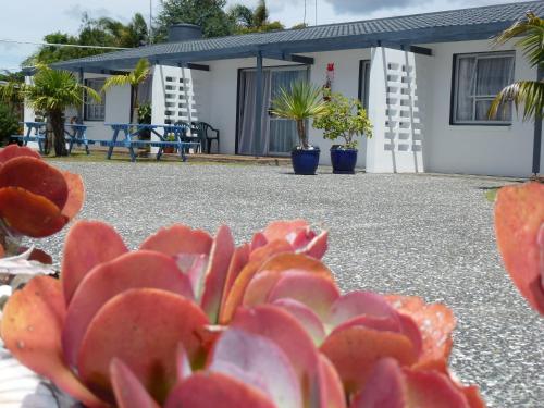 This photo about Mana-Nui Motel shared on HyHotel.com