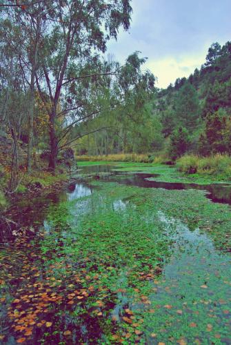 El Mirador del Cañon (El Mirador del Canon) in Ucero El Mirador del Cañon (El Mirador del Canon) in Ucero