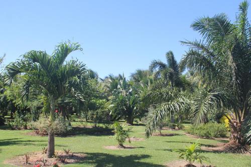 Domaine des Oiseaux Réunion (Domaine des Oiseaux Reunion) in Saint Andre Domaine des Oiseaux Réunion (Domaine des Oiseaux Reunion) in Saint Andre
