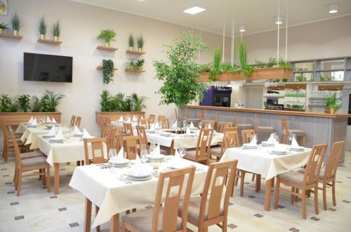 Restaurant, Chatky Sazava in Sázava (Vysocina) Restaurant, Chatky Sazava in Sázava (Vysocina)