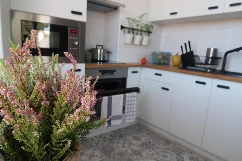 Facilities, Luxurious apartment 3 min walk to city center - snack, beverages included in price in Spisska Nova Ves Facilities, Luxurious apartment 3 min walk to city center - snack, beverages included in price in Spisska Nova Ves