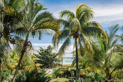 Village do Dendê Chalés 
Village do Dendê Chalés