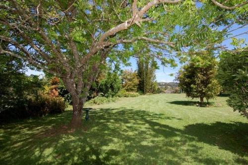 Kert, Fay's Cottage in Dorrigo Kert, Fay's Cottage in Dorrigo