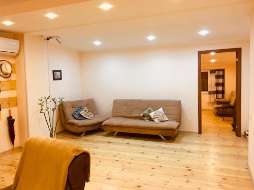 Rooftop View 
Rooftop View