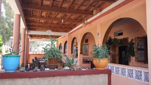Auberge Restaurant le Safran in Taliouinas Auberge Restaurant le Safran in Taliouinas