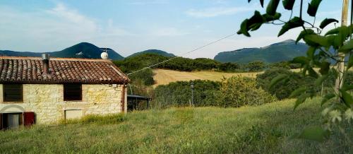 Surrounding environment, Oasi delle Gazze in Genga Surrounding environment, Oasi delle Gazze in Genga