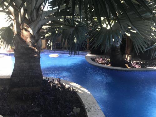 Piscine, Hotel Gran David in Santiago Piscine, Hotel Gran David in Santiago