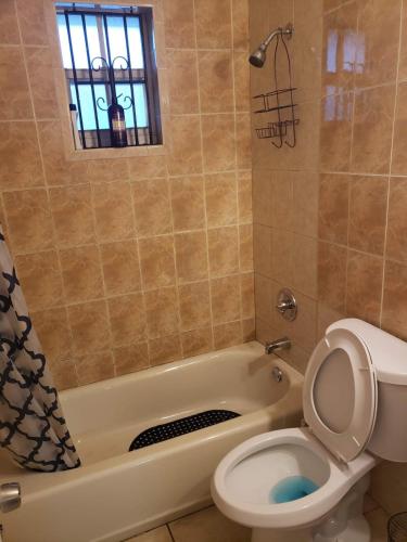 Miami Cheapest Place in Miami (FL) Miami Cheapest Place in Miami (FL)