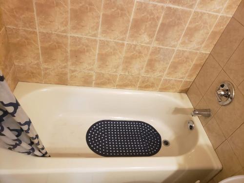 Miami Cheapest Place in Miami (FL) Miami Cheapest Place in Miami (FL)