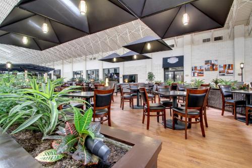 Létesítmények, The Atrium Hotel on Third in Quincy (Illinois) Létesítmények, The Atrium Hotel on Third in Quincy (Illinois)