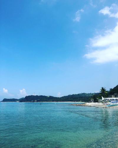 شاطئ, Amami Beach Resort in بويرتو غاليرا شاطئ, Amami Beach Resort in بويرتو غاليرا