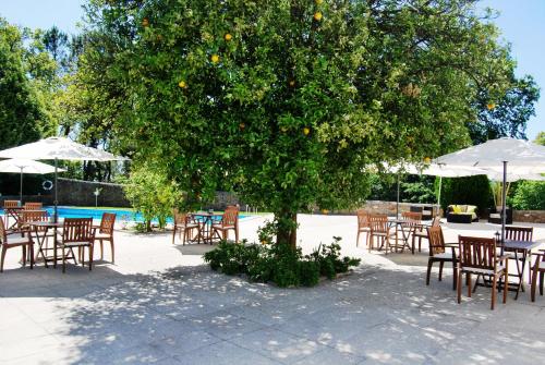 Kert, Hotel Quinta Progresso in Vale De Cambra Kert, Hotel Quinta Progresso in Vale De Cambra