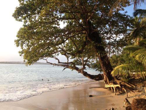 Masokut Surf Camp Siberut in Katurai Masokut Surf Camp Siberut in Katurai