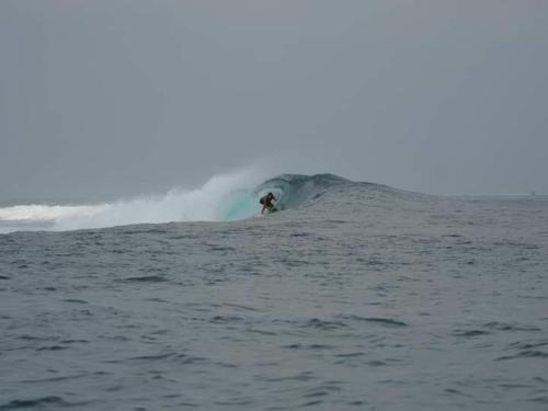 Surrounding environment, Mentawai Bagus local homstay in Mentawai Island Surrounding environment, Mentawai Bagus local homstay in Mentawai Island
