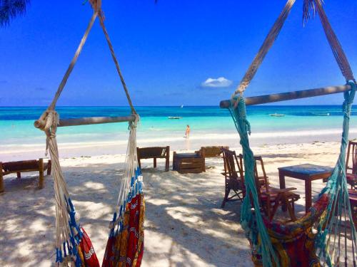 This photo about Simba Beach Zanzibar shared on HyHotel.com