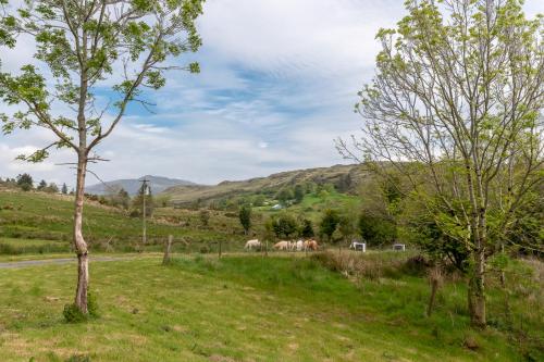Pandangan, Vila 180 m² dengan 4 bilik tidur dan 3 bilik mandi peribadi di Dunkerron Holiday Homes (Bay View House - Ring of Kerry & Wild Atlantic Way) in Dunkerron Holiday Homes Pandangan, Vila 180 m² dengan 4 bilik tidur dan 3 bilik mandi peribadi di Dunkerron Holiday Homes (Bay View House - Ring of Kerry & Wild Atlantic Way) in Dunkerron Holiday Homes