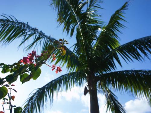 This photo about Villa Hirugi shared on HyHotel.com