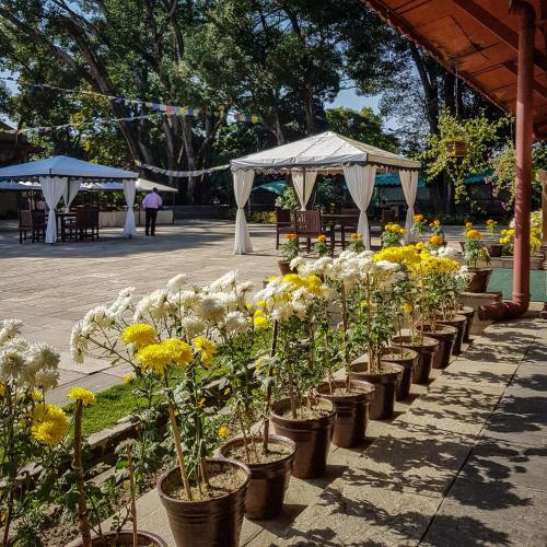Food and beverages, Gokarna Forest Resort in Gokarna Food and beverages, Gokarna Forest Resort in Gokarna