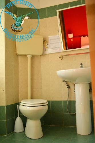 This photo about Dixi Bird GuestHouse shared on HyHotel.com