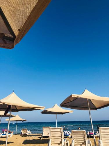 沙滩, 北塞浦路斯埃森特佩海景公寓 (Seaview Apartment Esentepe Northern Cyprus) in 巴赫切利 沙滩, 北塞浦路斯埃森特佩海景公寓 (Seaview Apartment Esentepe Northern Cyprus) in 巴赫切利