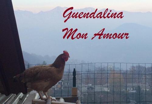 Guendalina Mon Amour in Roncola Guendalina Mon Amour in Roncola