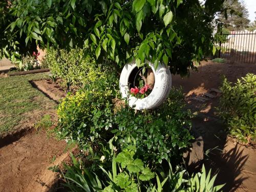 Florida bed n breakfast Solutionz
Florida bed n breakfast Solutionz