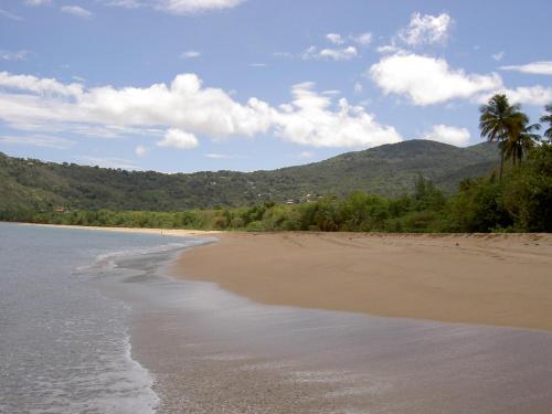 strand, Villa MIELeCAJOU, entre mer et montagne in Deshaies strand, Villa MIELeCAJOU, entre mer et montagne in Deshaies