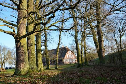 Garden, Deichkind - Reetdachhaus direkt am Elbdeich in Lenzerwische Garden, Deichkind - Reetdachhaus direkt am Elbdeich in Lenzerwische
