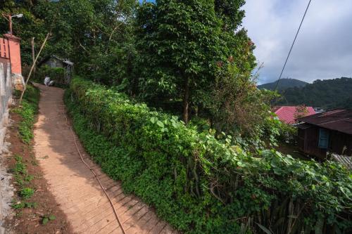 The Pine Yard in Kalaw The Pine Yard in Kalaw