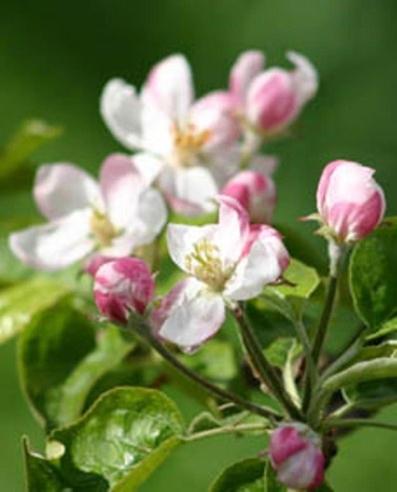 This photo about Hotel Christin shared on HyHotel.com