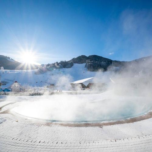 Atracciones, RMG Roses Apartments in Bad Kleinkirchheim Atracciones, RMG Roses Apartments in Bad Kleinkirchheim