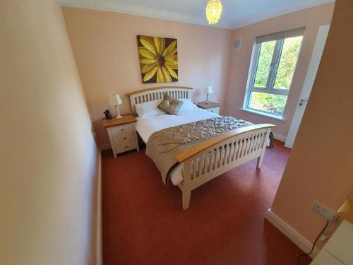 Habitación, Wolseley Park guest house in Tullow Habitación, Wolseley Park guest house in Tullow