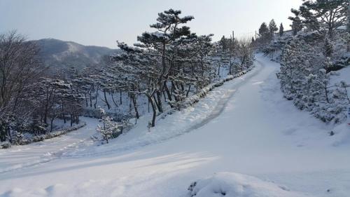 Golmangtae Pension in Boseong Golmangtae Pension in Boseong