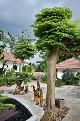Rai Win Resort near Tiger Cave Temple (Wat Tham Suea) Rai Win Resort near Tiger Cave Temple (Wat Tham Suea)