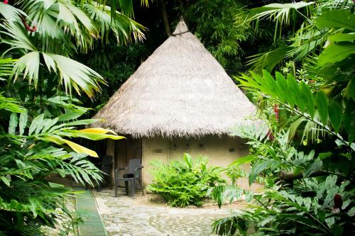 Hotel Claraluz Eco-lodging and Organic Farm