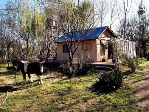 Hotel Eco cabaña Manen