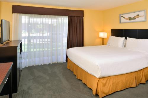 Dana Point Marina Inn image 7