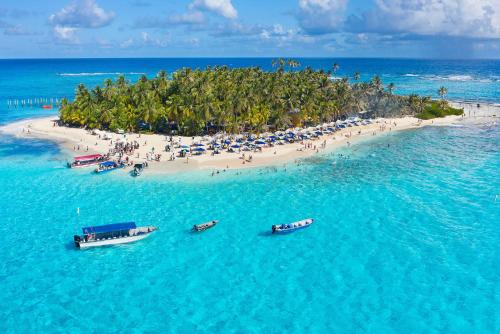 Alrededores, Sol Caribe Sea Flower in Isla San Andrés Alrededores, Sol Caribe Sea Flower in Isla San Andrés