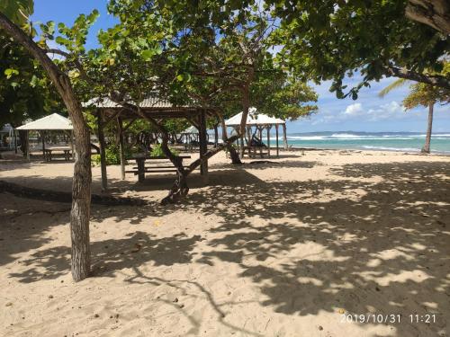 ZANNANNA F1 de charme tout equipe Le Moule avec piscine in Le Moule ZANNANNA F1 de charme tout equipe Le Moule avec piscine in Le Moule